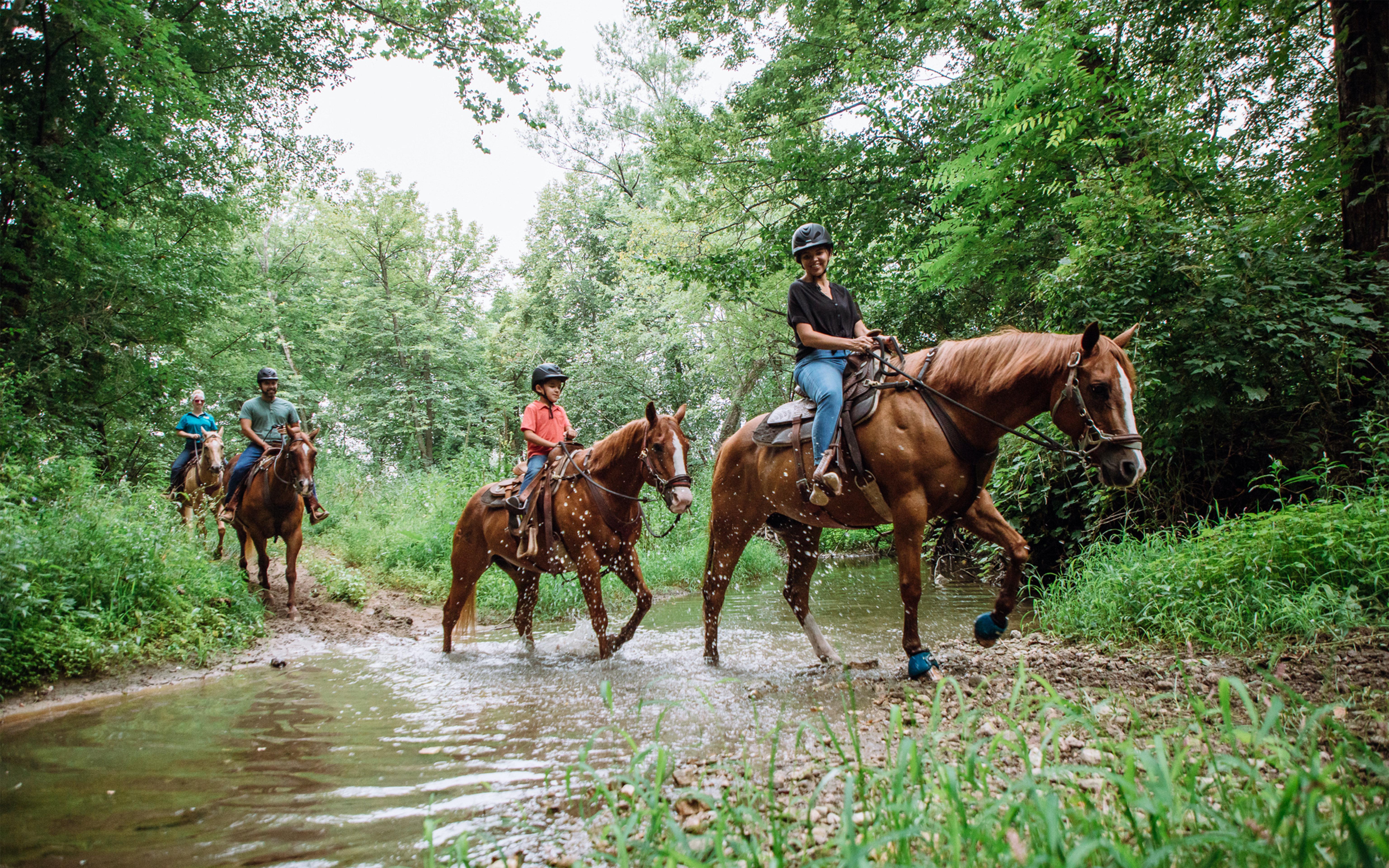 Holiday Inn Club Vacations Fox River Resort At Sheridan Εξωτερικό φωτογραφία